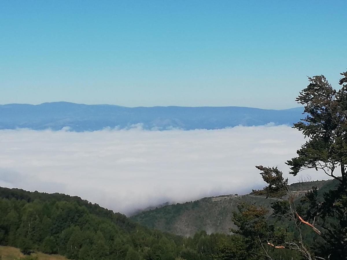 Apartman Adelfes P16, Milmari Resort Kopaonik Dış mekan fotoğraf